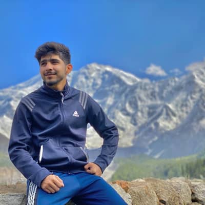 ali hasham