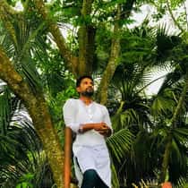 Shahin