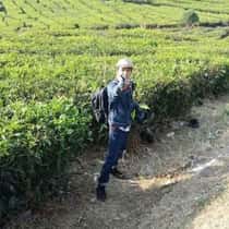 Arief