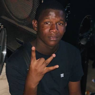 Skault sarr