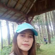 anik