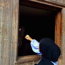 nourhane