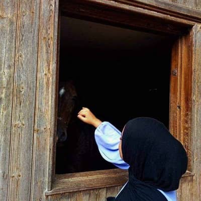 nourhane