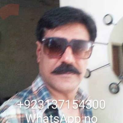 syed ali qaswer naqvi