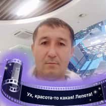 Shavkat