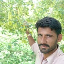 Nazim HUSSAIN