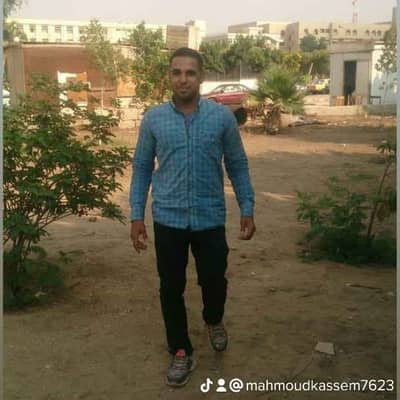 Mahmoud kassem