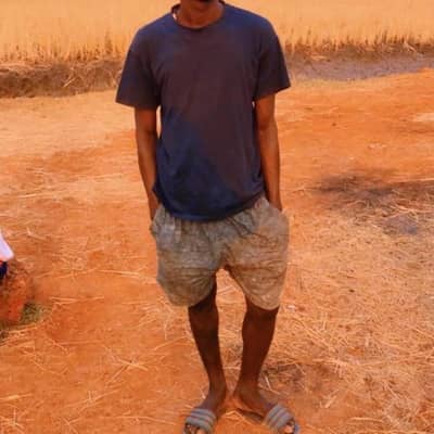 lamin