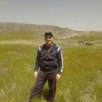 Hamedi