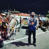aris widiyanto