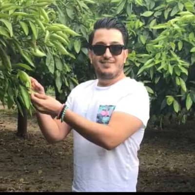 Nebi