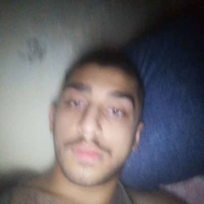 ali29