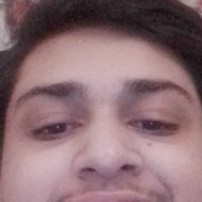 fazi