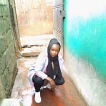 shamsia