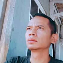 novan