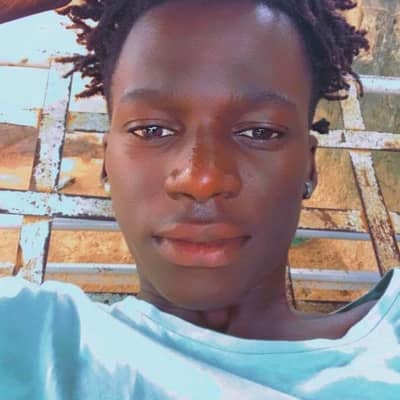 Lamin