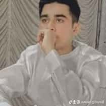 awais gillani