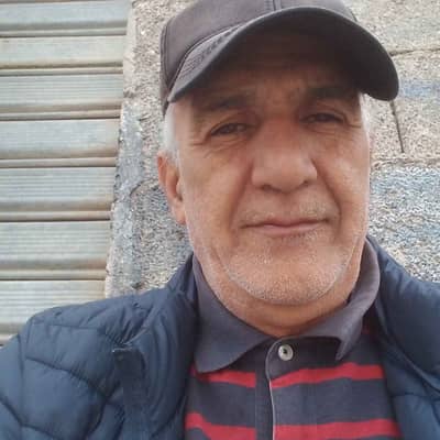 kamel