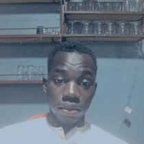 Lamin