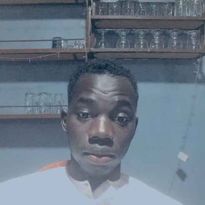 Lamin