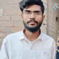 saleem