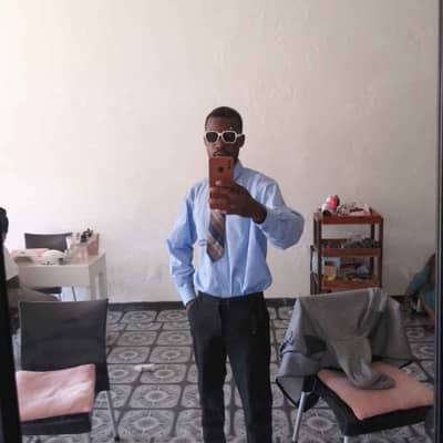 fake