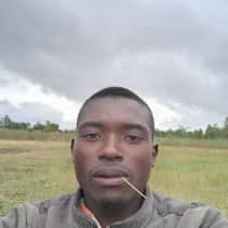 yankho chitsime