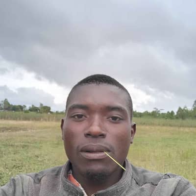 yankho chitsime